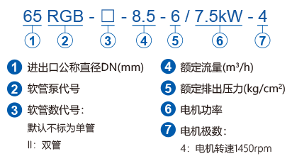 RGB系列蠕動軟管泵型號說明
