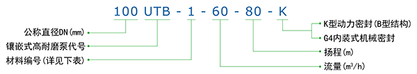 UTB泵型號標注說明